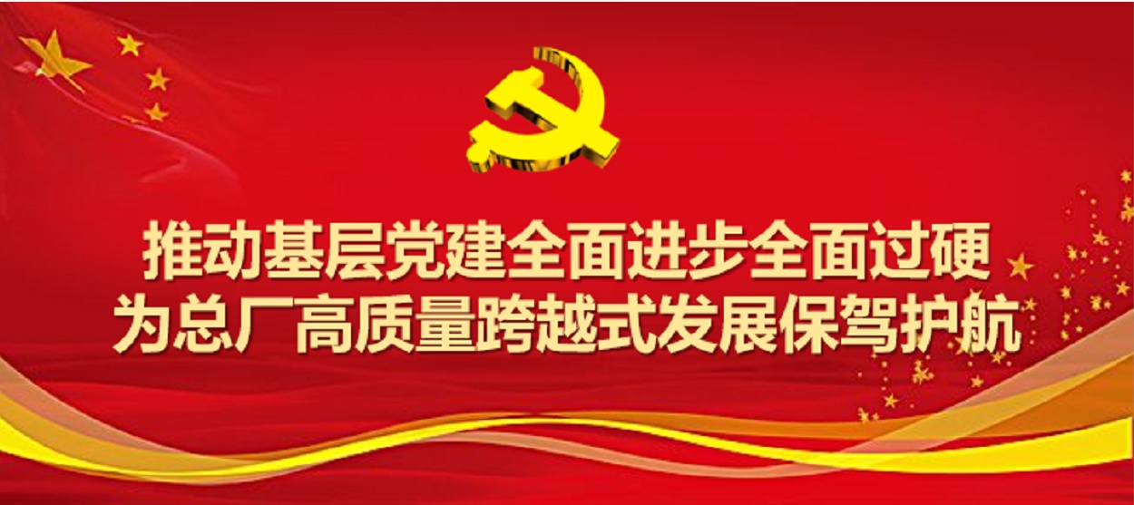 J9九游国际集团圆满实现2019年度党支部工作及党支部书记考评工作
